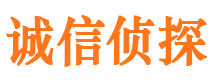 海州市私家侦探